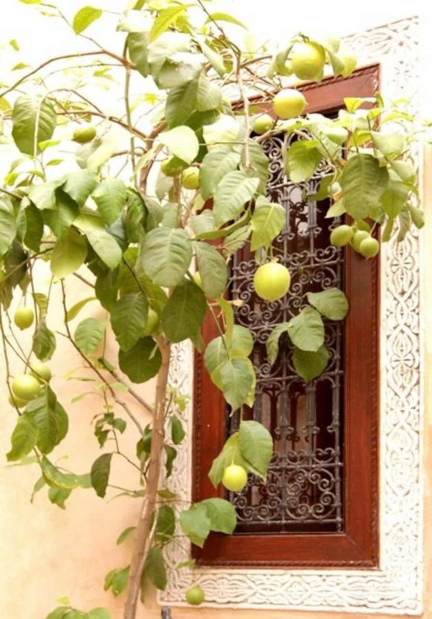 Riad Dar Rania Marrakech Medina Jemaa El Fna Marrakesz Zewnętrze zdjęcie